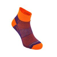 Royal Orange