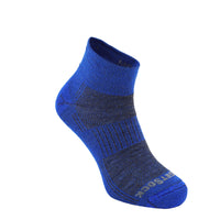 Grey/Electric Blue