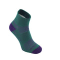 Alpine Green over Wildberry